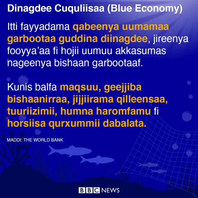 Qabeenya bishaanii sirrnaan itti fayyadamuuf qindoominni biyyootaa murteessaadha