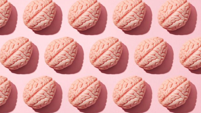 Ilustraçõesbet mentor betano é confiávelcérebros