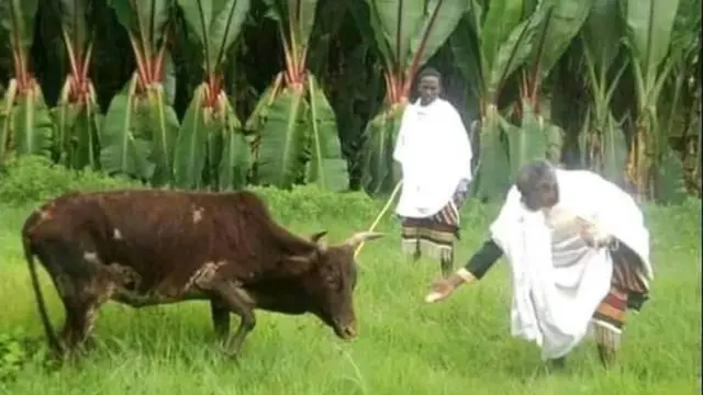 በበዓሉ ወቅት ለአካባቢ እና ለእንስሳት ትልቅ ትኩረት ይሰጣል