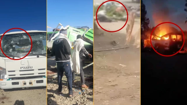 Haleellawwan diroonii