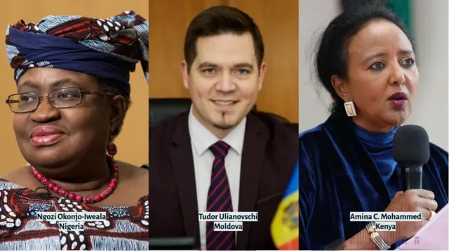 Ndị na-azọ ọkwa onye nchịkọa otu 'World Trade Organisation' (WTO)