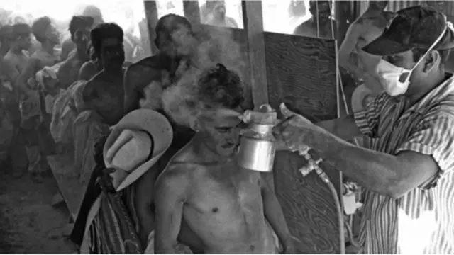Em 1956, os braceletes foram pulverizados com DDT como parte do processo de entrada nos Estados Unidos.