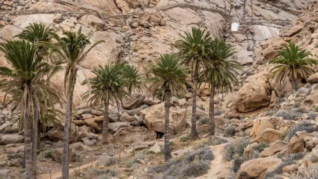 சூழலியல் மீதான போர்: நாம் தெரிந்துகொள்ள வேண்டிய 5 தகவல்கள்