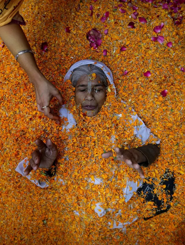 फूलों के रंग में सराबोर