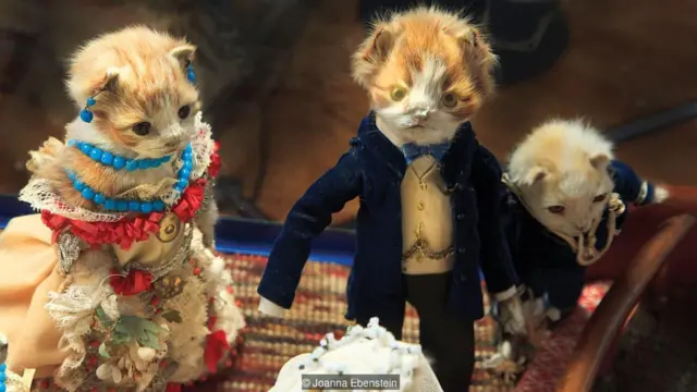 Taxidermy, mengawetkan binatang, walter potter