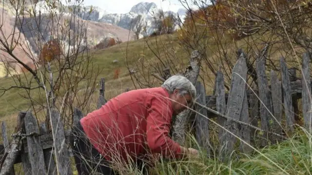 حلفیہ کنواریاں