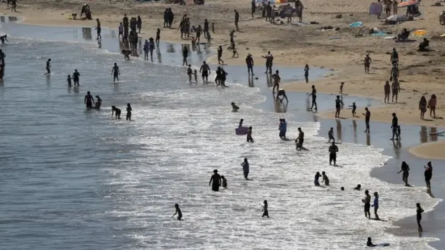 कोरोना वायरस