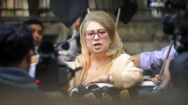 খালেদা জিয়া, বিএনপি