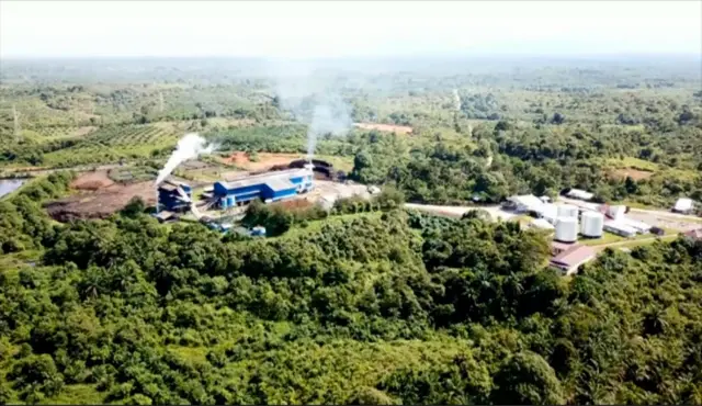 โรงงานปาล์มน้ำมันในป่า