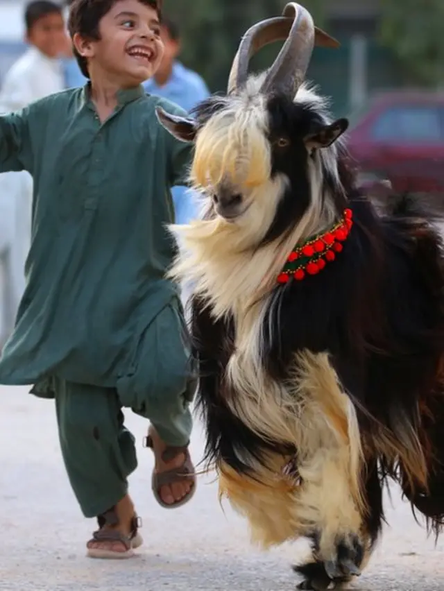 پاکستان تصاویر