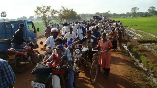 एलटीटीई