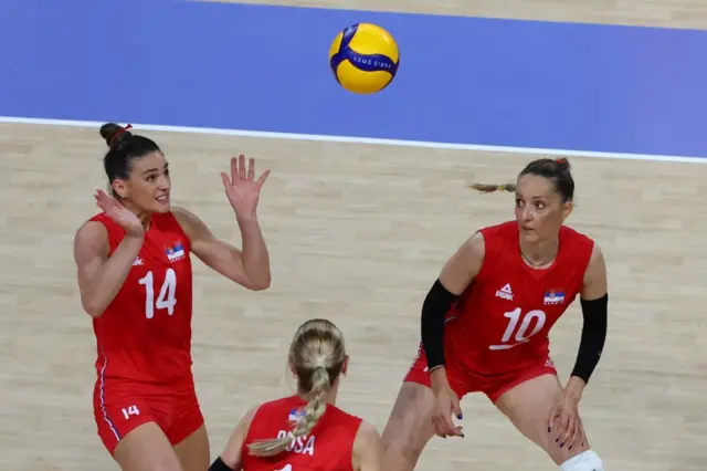 maja ognjenović, odbojka