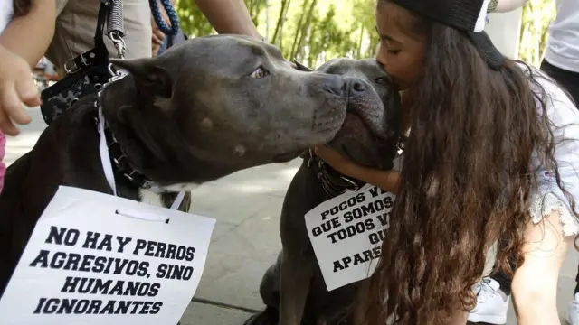 Manifestación en Medellín en defensa de perros