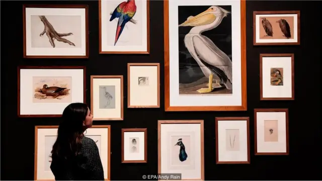 जॉन रस्किन