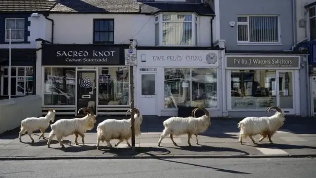 Mji wa Llandudno upo katika pwani ya Wales, magharibi mwa nchi hiyo.