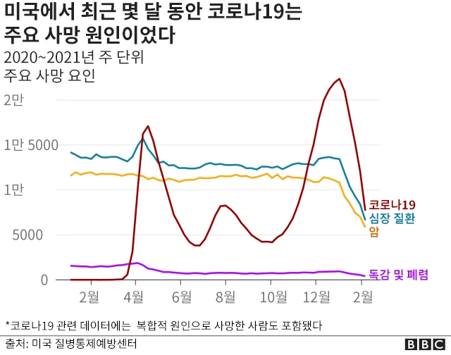 미국 내 주요 사망원인