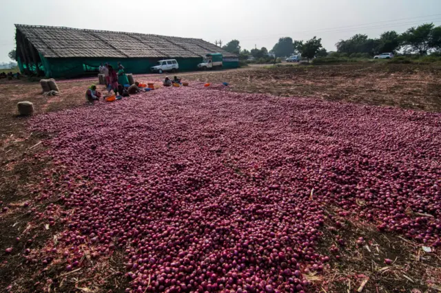 অভ্যন্তরীন বাজারে পেঁয়াজের দাম নিয়ন্ত্রণে রাখতেই সরকারের এই সিদ্ধান্ত