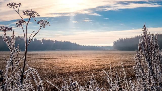Paisagem de inverno na Finlândia.