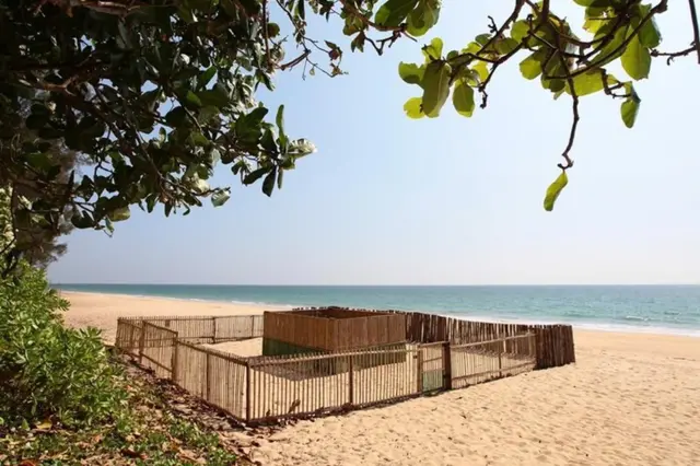 คอกกั้นรังเต่ามะเฟือง