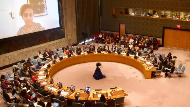 Adde Hillinaa Birhaanuu mana maree UN'tti dhuga bahuumsa yeroo kennan