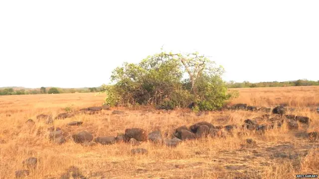 घुमडे गावात आढळलेले माहापाषाणीय संस्कृतीतले शिळावर्तुळ