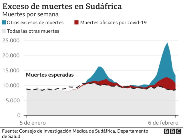 Exceso de muertes en Sudáfrica.