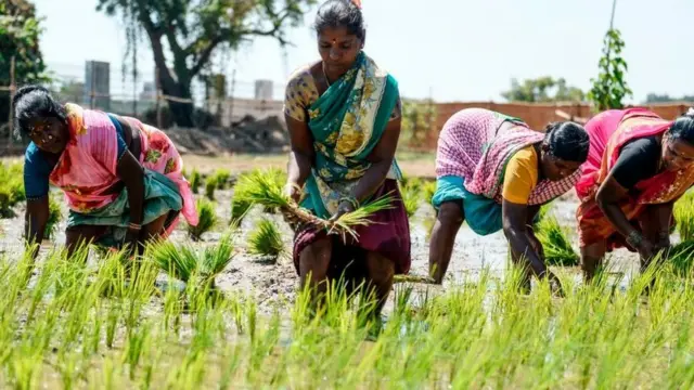 தமிழக பட்ஜெட் காவிரி டெல்டா