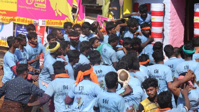 ஜல்லிக்கட்டு