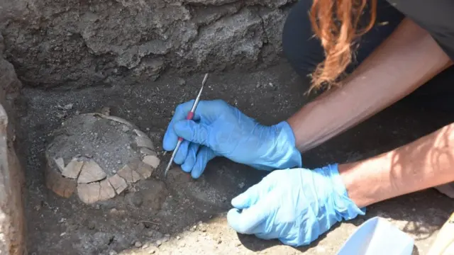 El caparazón de la tortuga hallada en Pompeya.