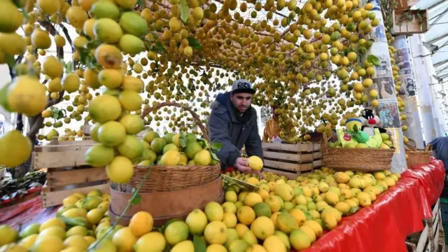 Dan Tunusia mai saida lemon tsami