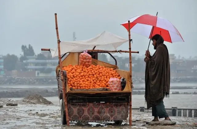 ننګرهار کې یو سړی چې چترۍ یې نیولې، د مالټو زرنج ته ولاړ دی 