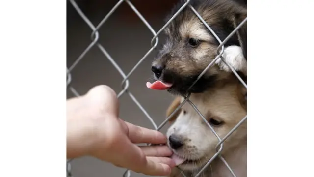 بعدسات الجمهور: "الأشياء الحلوة"
