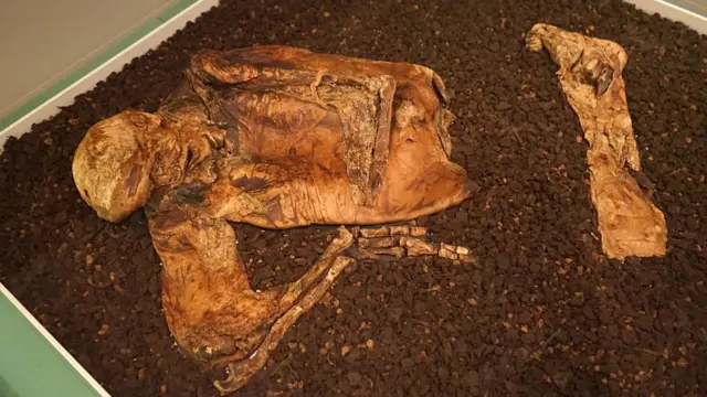 Turbalık alanda bulunan dağılmamış bir insan vücudu