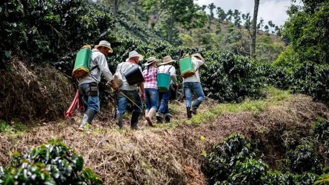 Опыт человечества говорит нам о том, что выживать легче, когда мы работаем вместе