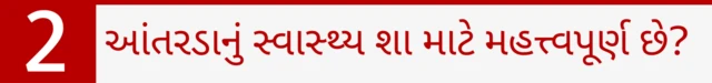 આંતરડાનું સ્વાસ્થ્યઆંતરડાનું સ્વાસ્થ્ય શા માટે મહત્વપૂર્ણ છે?