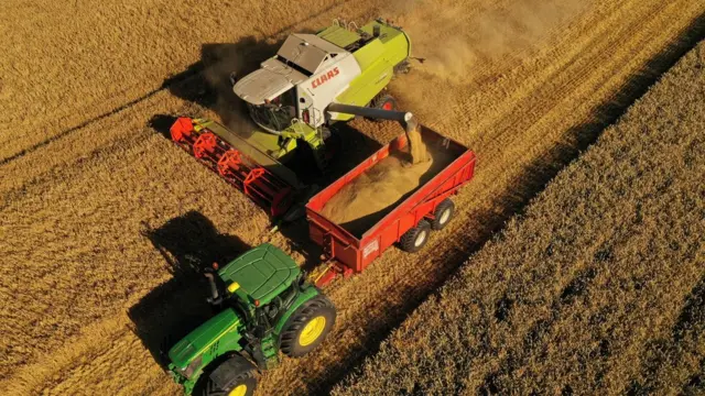 ਖੇਤੀਬਾੜੀ