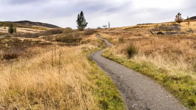 سکاٹ لینڈ کرہ ارض وزن