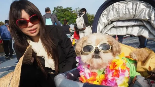 कुत्ता अपने मालिक के साथ