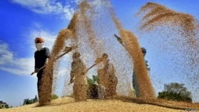 ਕਿਸਾਨ ਝੋਨਾ