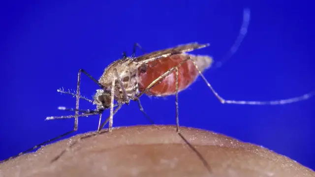 ਕੋਰੋਨਾਵਾਇਰਸ