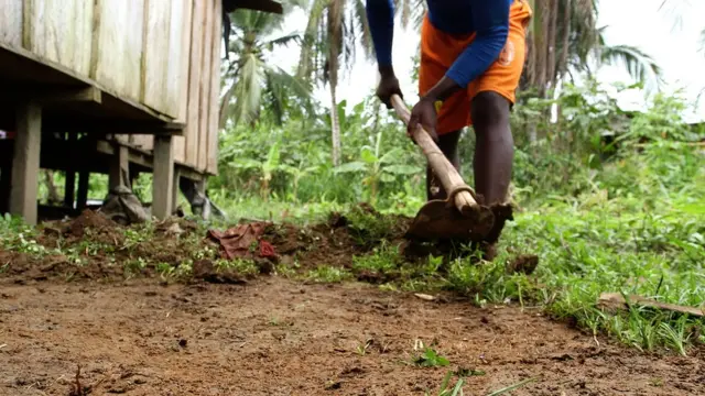 Hombre trabajando la tierra