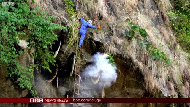 తేనె టీగలకు పొగ పెడుతున్న నేపాలీ