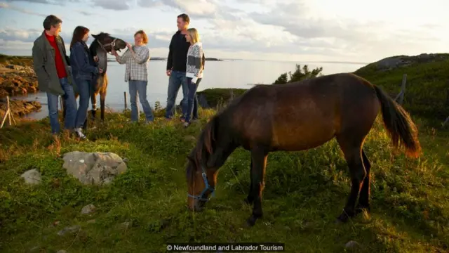 Newfoundland and Labrador Tourism