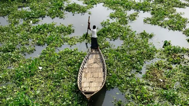 Mariama Mamane Jacigreen Rémy Nsabimana Afrique Avenir BBC Afrique