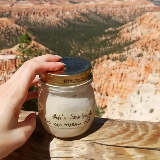 Arijana Sikorski nasledila je kvasac Zlatne groznice Klondajka za koji se smatra da datira iz 1890-ih