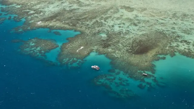 Barcos ao longo da Grande Barreiracodigo de promocional betanoCorais