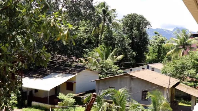 जांभूळपाडा