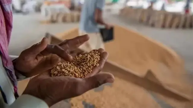 સિંગાપોરમાં ખાદ્યપદાર્થોની અછત