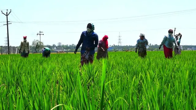 விவசாயிகள் தற்கொலை