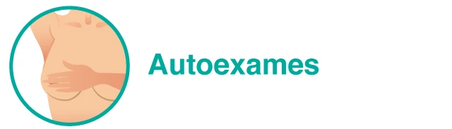 Cabeçalho com ilustração: Autoexames